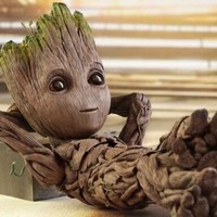 Макс Кравченко