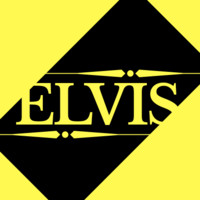 Elvis Elvisi