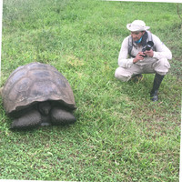 Jose M Hurtado Salcedo
