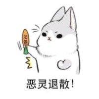 宋志慧