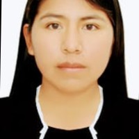 ROSA MARITZA GAMARRA VILCA