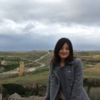 Jingjing Du