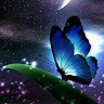 Greeshma R