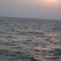 راغب في افتتاح مركز أبها