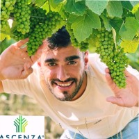 Hugo Vidinha Fonseca