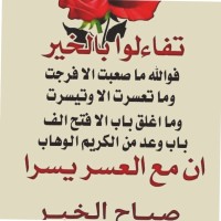 mohammad halabi
