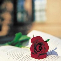 Lidya Sousa - Rodotec