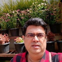 Raman Karthik
