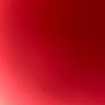 امنه صالح