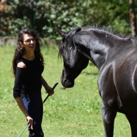 Olivia Développement Equestre