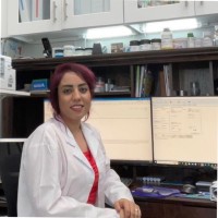 Mona Shabaniabarghooei