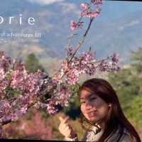 Marjorie Ann Bisa