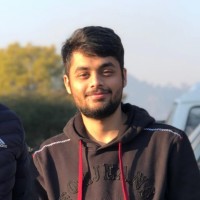 Syed Hamza Ali Shah