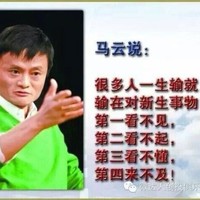 陈展翅