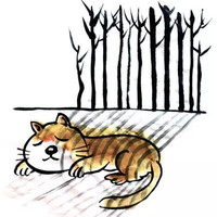 邓欢蕾