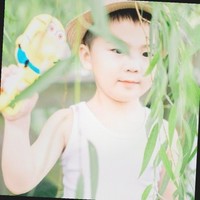 Xuân Tùng Lê