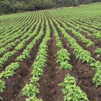 Cesar Augusto Murcia Rodriguez