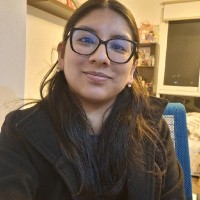 Rossmery Sthefanny Llanos Julcarima