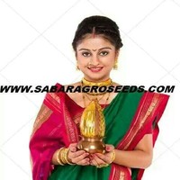 sabaragroseeds mayur patel