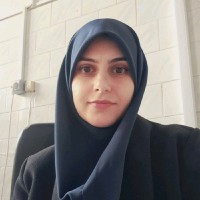 Monireh Falsafi