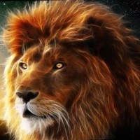 عصام باباريست