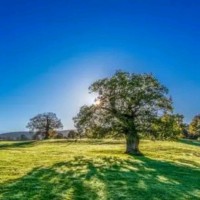 周青易