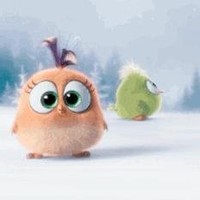 An Erdong