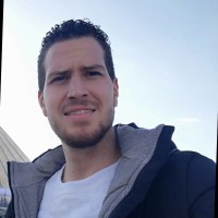 Majd Shaheen