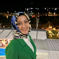 Ayşenur Gökdemi̇r
