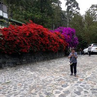 Jose Lauriano Ramirez