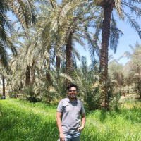Ahmed Elashry