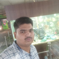 Gulbhar Ansari