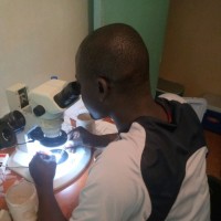 Tobias Odongo