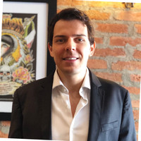 Luciano Terreri Mendonça Junior