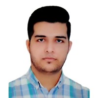Reza P. Beiranvand