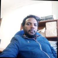 Mekonnen Bedada