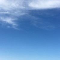 师园园
