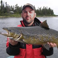 stephane eric bureau