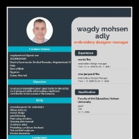 Wagdy Mohsen
