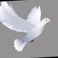 Serigne Mor Gueye