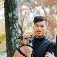 Vincent Yi, Pla