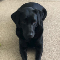 Phil T