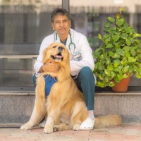 Dr.Vinod Sharma