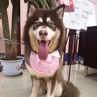 潘俊文
