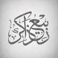 Muhammad Rabi Zakir