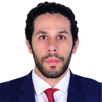Ameer Ali