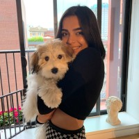 Trushtika Virdi