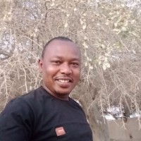 Sague Sonde