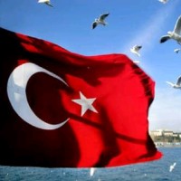Orhan Kurt