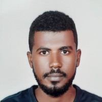 waleed elbashir